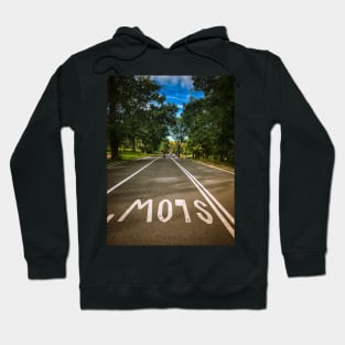 Slow Down in Central Park, Manhattan, New York City Hoodie